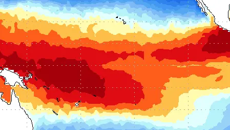 OMM alerta: El Niño moderado a forte até agosto